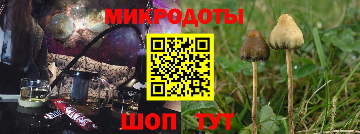 Юрга  Галлюциногенные грибы ЛСД  Вход с VPN 